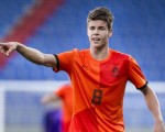 van-ginkel